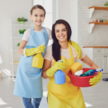 CLEANING SUPPLIES PRODUCTS